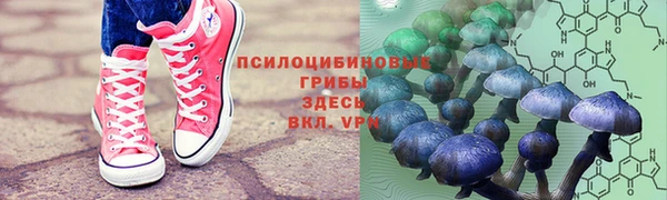 винт Сатка