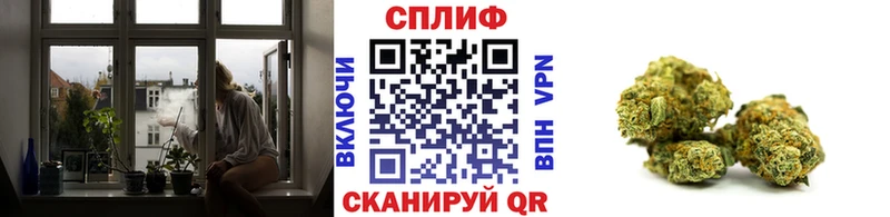 Конопля гибрид  как найти закладки  Барабинск 